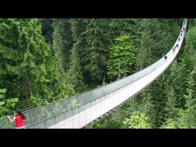 Vancouver North Shore Day Trip With Capilano Suspension Bridge and Grouse Mountain