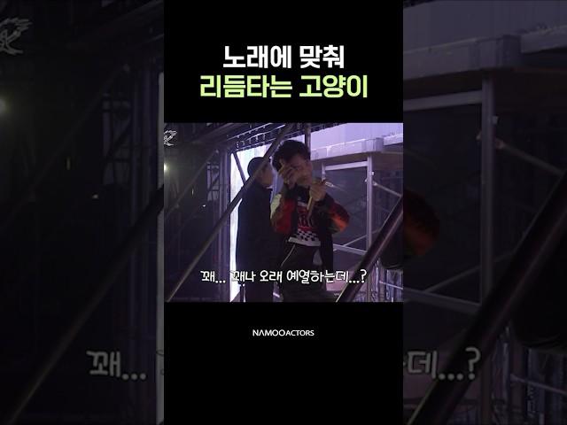팬들 좋아 준냥이 #Shorts #이준기