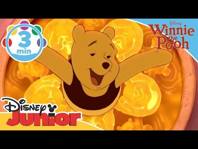 The Mini Adventures of Winnie the Pooh | The Honey Song | Disney Junior UK