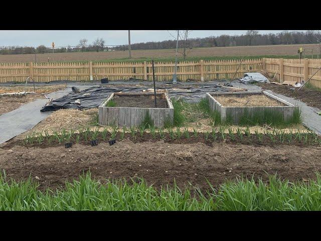 May Garden Tour - Zone 5 Michigan Homestead Garden!