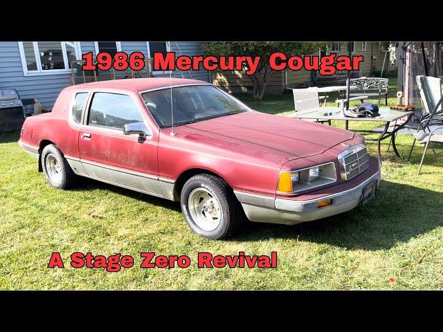 Reviving a 1986 Mercury Cougar that's been sitting for 5 years. We find a major issue.