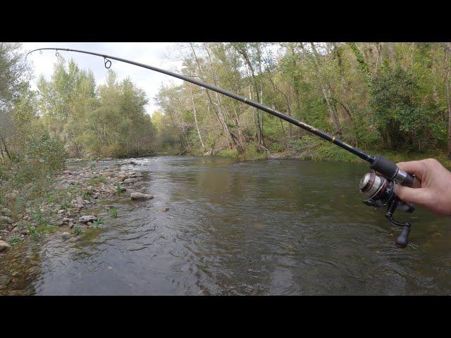 Pescando truchas con una eclosión brutal de Ecdyonurus