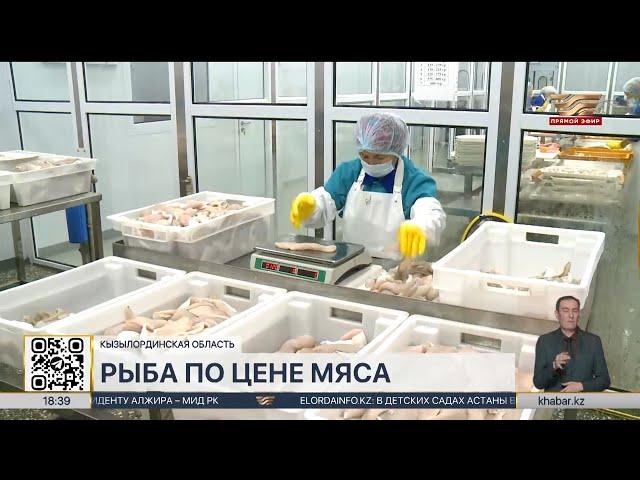 Рыбу по цене мяса покупают жители Кызылординской области