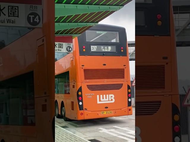 LWB: UV6X33 XP2238 on route E37 departing (HK Bus Shorts #64) #hongkongbus #hkbus #bus