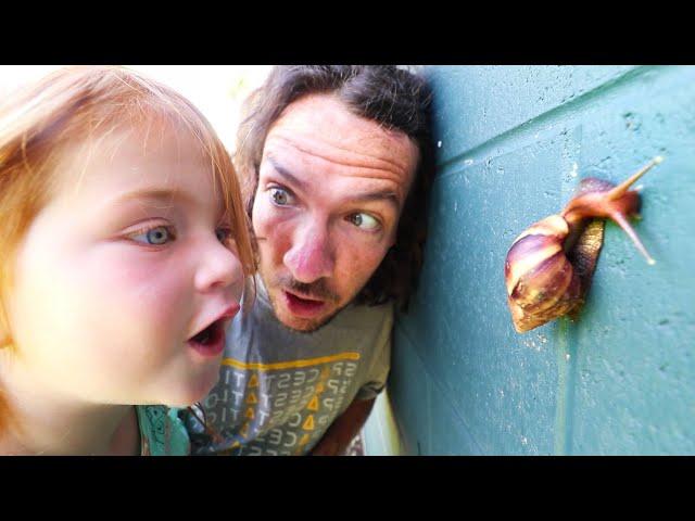 MY PET SNAIL!! New Morning Routine catching bugs with Adley in Hawaii