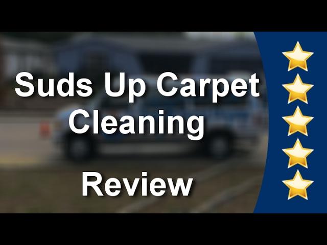 Suds Up Carpet Cleaning Port Richey Impressive 5 Star Review by Kelly M.