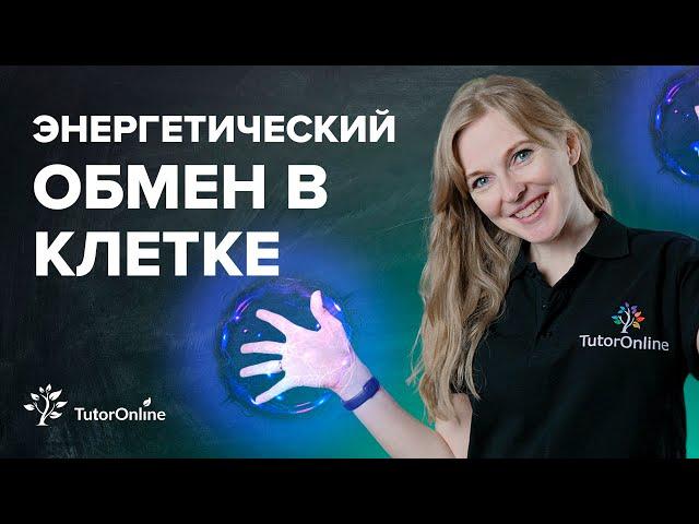 Энергетический обмен в клетках, распад углеводов и белков | Биология | TutorOnline