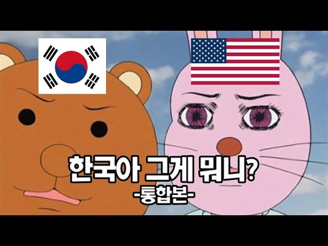 한국아 그게 뭐니? 통합본