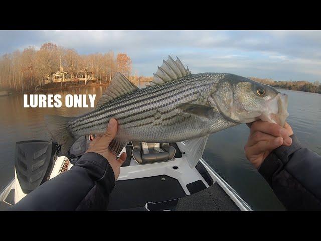 #1 Lake Anna Striper Guide Service Casting Lures