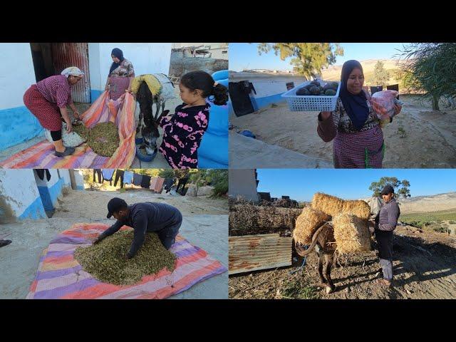 لي جاني جاني على خديجة مرات عزيزهيا ولا انا فدار صافي مانقدرش نصبر