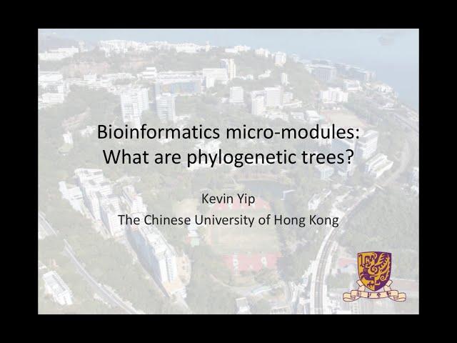 07. What are phylogenetic trees
