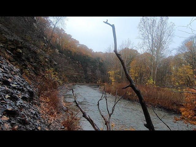 Steelhead Fly Fishing Western New York