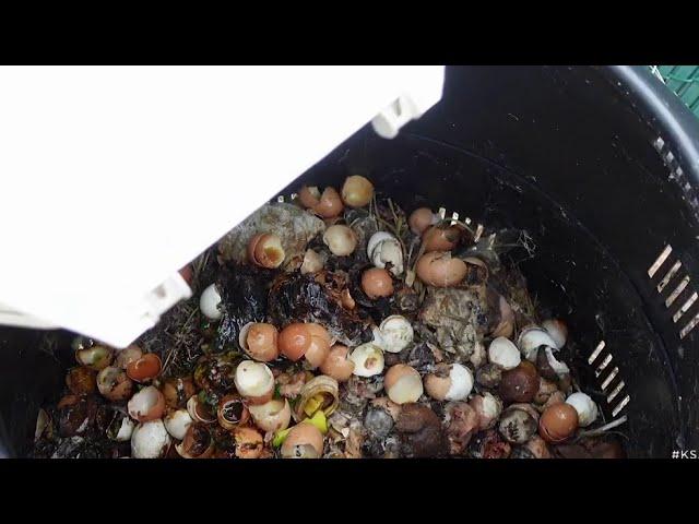 Want to start composting? Start with these dos and don’ts