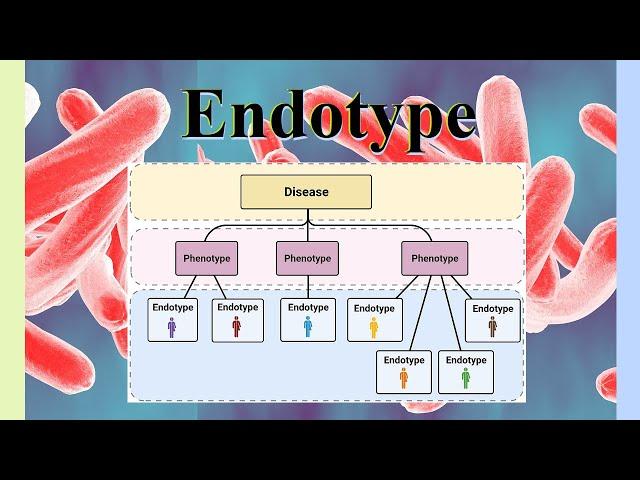 endotype
