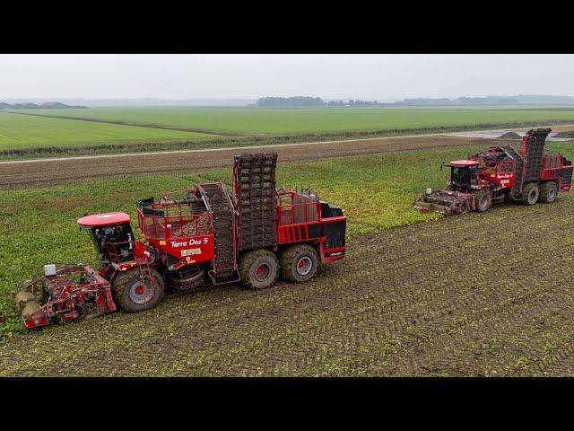 Beeting the rain | 2x new Holmer Terra Dos T5-40 | Breure - De Waard & Jan Bakker