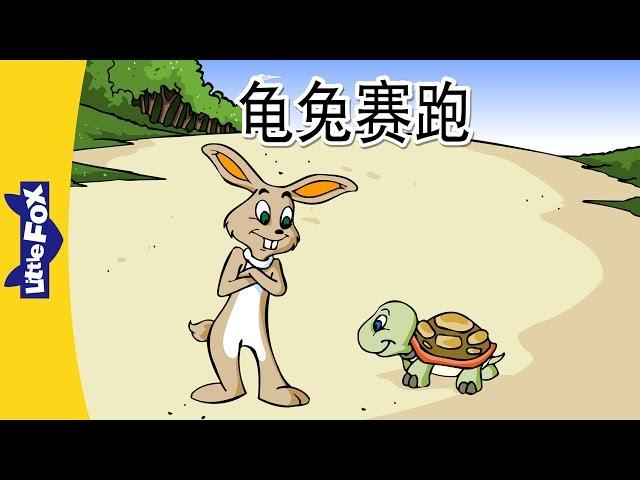 The Tortoise and the Hare (龟兔赛跑) | Folktales 1 | Chinese | By Little Fox