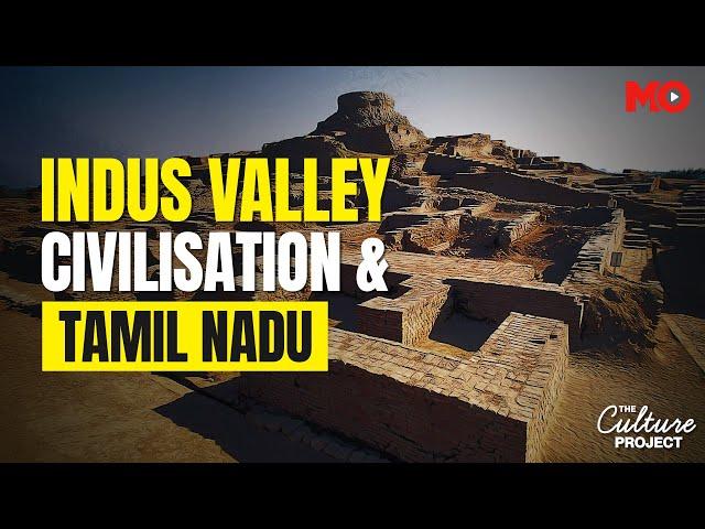 Can Tamil Nadu Unlock The Secrets Of The Indus Valley Script? | India Today