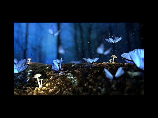 Morning Relaxing Music - Meditation, Sleep, Calming, Stress Relief, Spa, Piano Music.