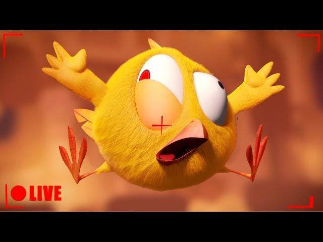  LIVE CARTOON | WHERE'S CHICKY |  Desenho Animado em português | Live Stream