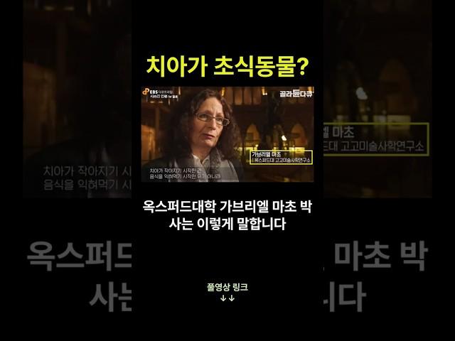 사실은 이렇습니다