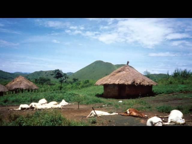 The Lake Nyos Disaster