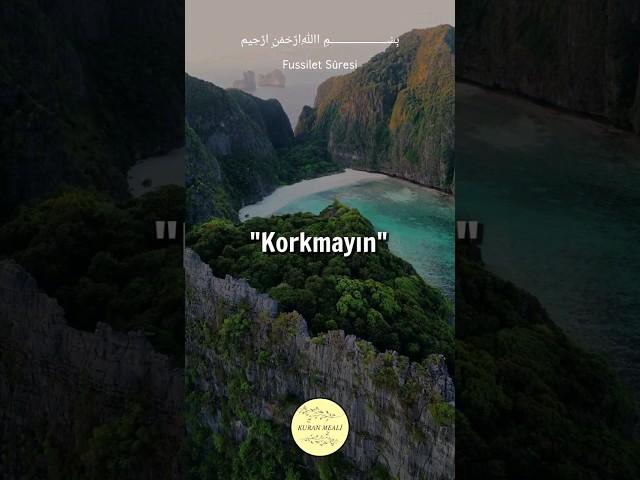 Fussilet Sûresi #kuranmeali #kuranıkerim #kuran