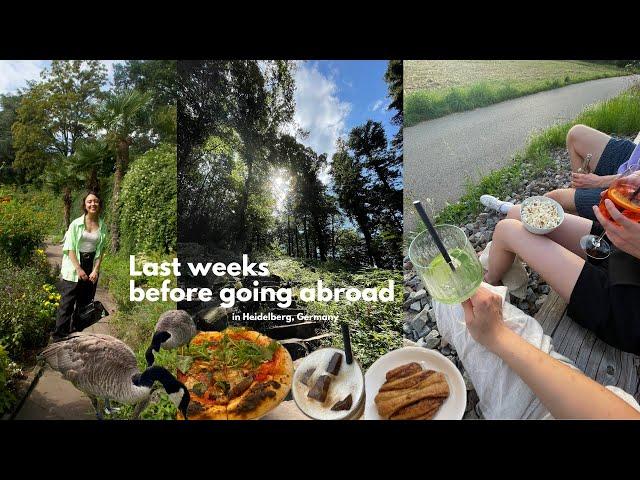 Last Days in Heidelberg before leaving for my Semester Abroad | Vlog | 2024