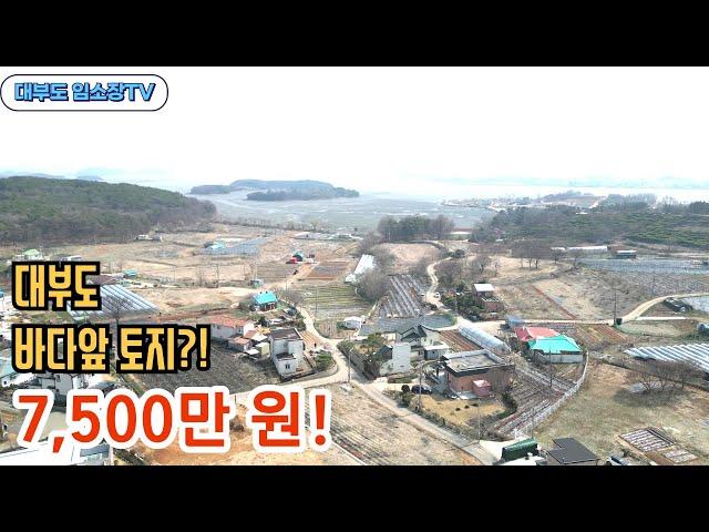 "7,500만 원! 대부도 바다조망 소형토지 + 농막, 힐링 쉼터 완성!“ 땅 매매 /대부도부동산/ 체류형쉼터  NO 1154