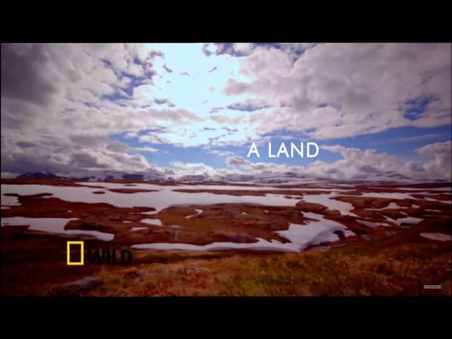 NatGeo Wild HD UK - Nordic Wild Promo 1080p November 2011