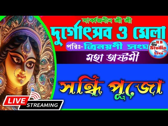 সন্ধি পূজো/ সার্বজনীন  দুর্গোৎসব ও মেলা ২০২৪ /পরি:-ত্রিনয়নী সংঘ /৩য় দিন / HB_Studio_Live