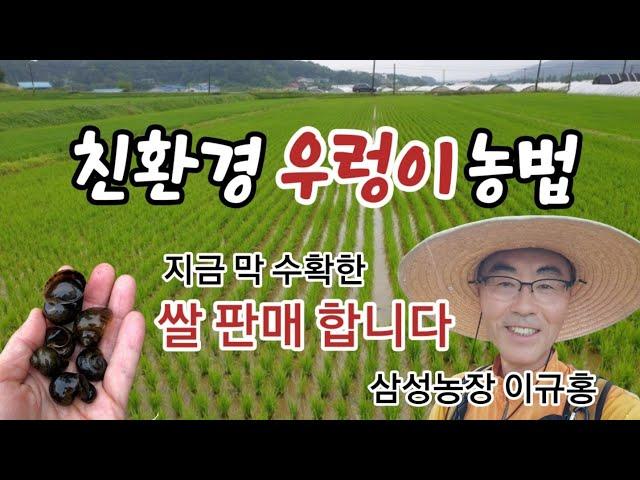 이규홍의 벼농사 이야기