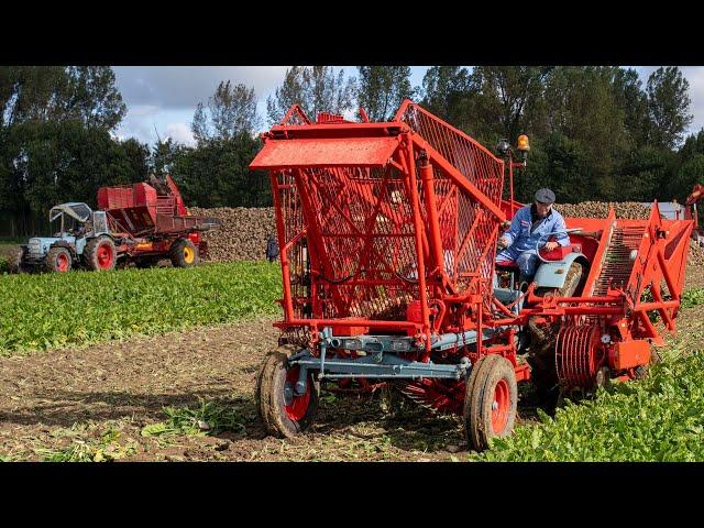 6 decades of beet harvesting history | From horses to 6 row harvester | Jülich, 2024