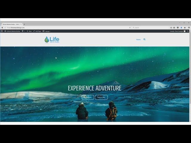 LifeLab Website Builder Showcase