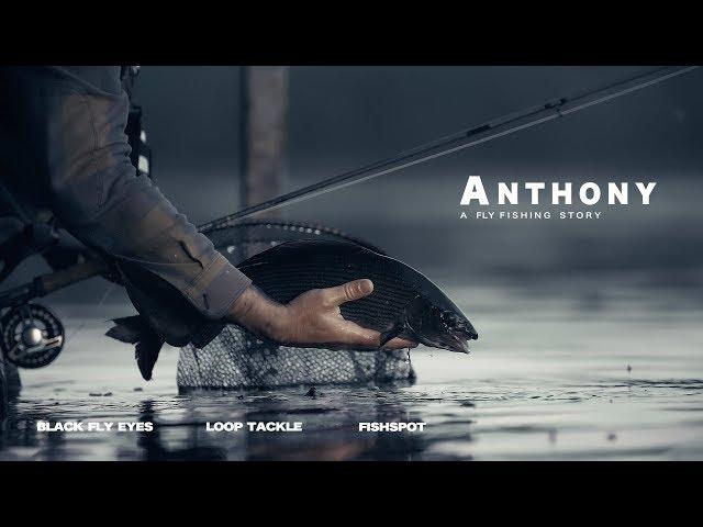 ANTHONY | A fly fishing story | Fishing for big grayling in Norway (river Rena)