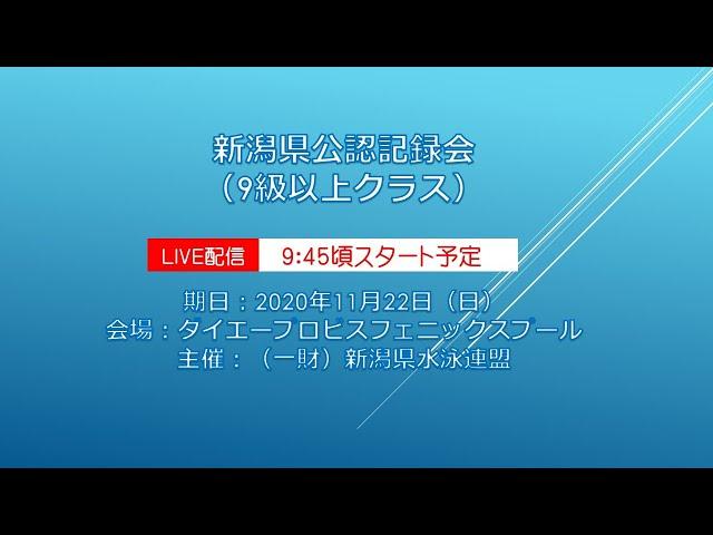 新潟県水泳連盟公認記録会９級以上