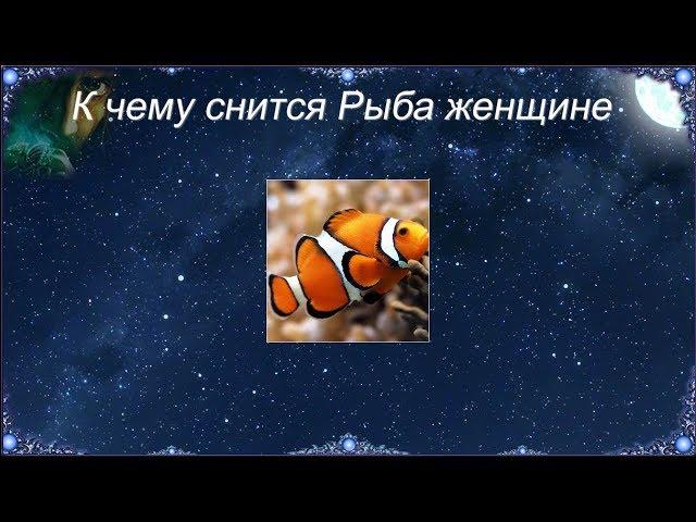 К чему снится Рыба женщине (Сонник)