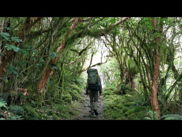 Milford Track 13-16/01/2023