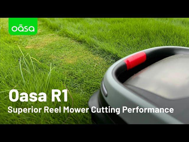 Oasa R1 Superior Reel Mower Cutting Performance Demo