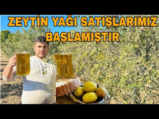 ZEYTİN YAĞI SATIŞIMIZ BAŞLAMIŞTIR~DEDE'DEN TORUNA 3 KUŞAK ZEYTİNCİLİK