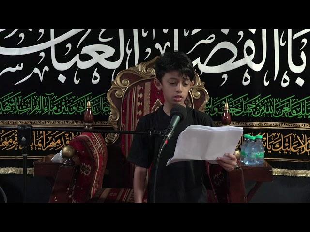 الشبل الحسيني ياسين الرويعي | يا حميده