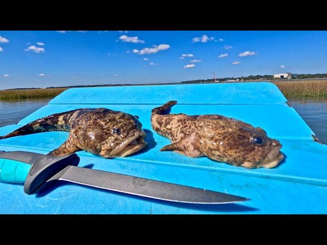 Catch n’ Cook the UGLIEST Fish in South Carolina! {Toadfish}