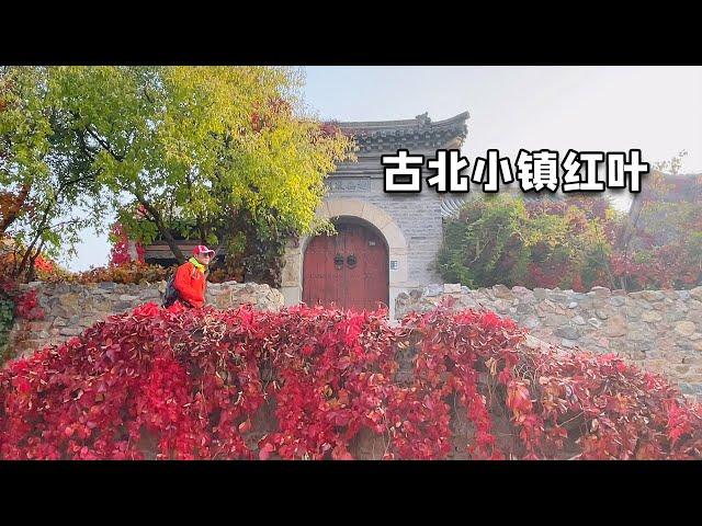 Appreciating Autumn in Beijing ~ Red Leaf Town under the Great Wall