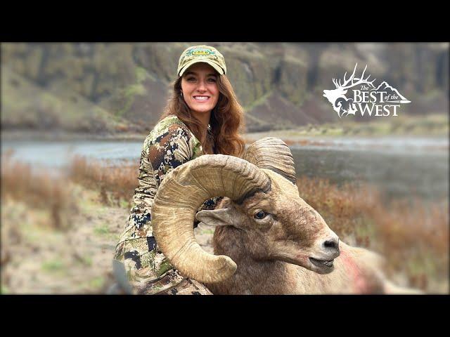 Massive Oregon Bighorn Sheep over 180"