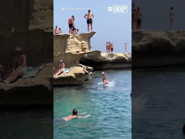 Jack Russell jumps off cliff into owner's arms