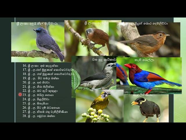 අප අවට සත්තු - 2-   4 වන පාඩම