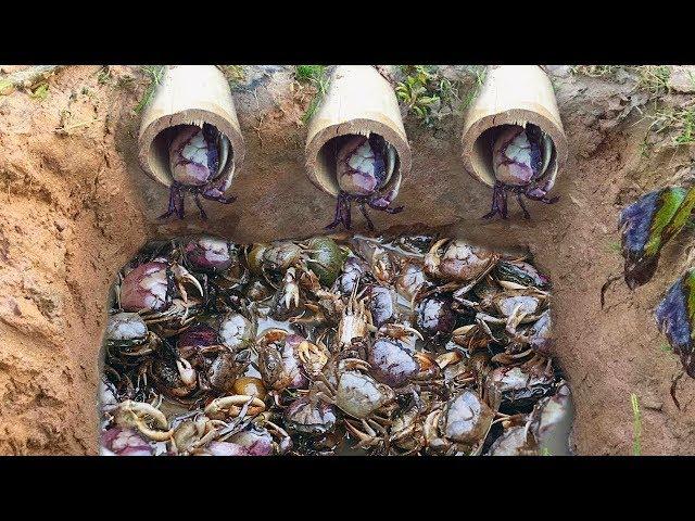 Top 5  video 2017 Amazing Man Make 5 Fish Trap  Crab Trap & Eel Trap in Cambodia