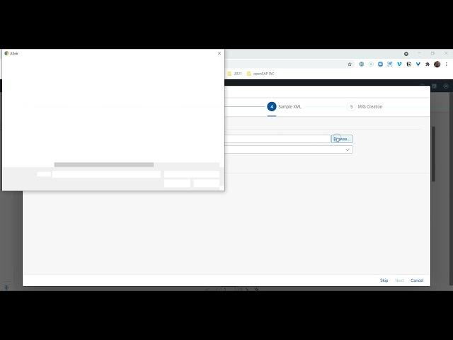 openSAP S4H20 - Ejercicio 1.1