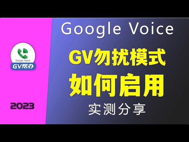GoogleVoice防止骚扰电话 GV勿扰模式如何启用实测分享Google voice Gv帮办