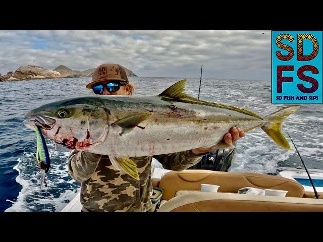 The Best YELLOWTAIL FISHING Lure | Trolling NOMAD DTX MINNOW | Coronado Islands Freedom Boat Club