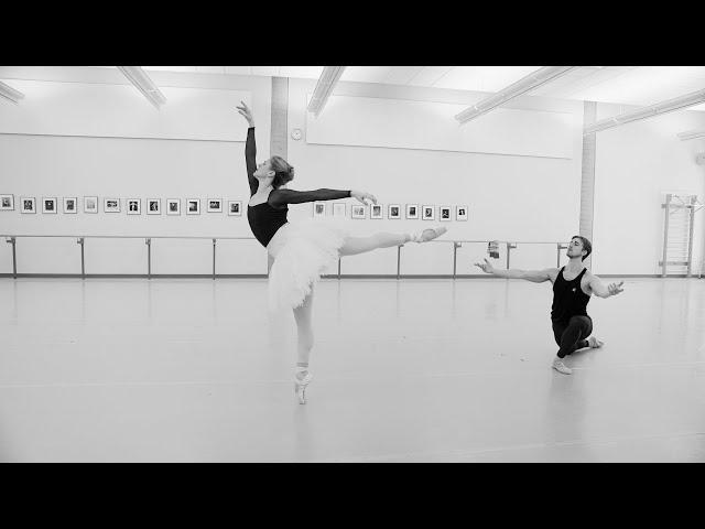 Heather Ogden's Final Swan Lake | The National Ballet of Canada